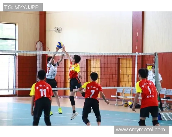 重庆排球队区域防守分析与改进建议探讨